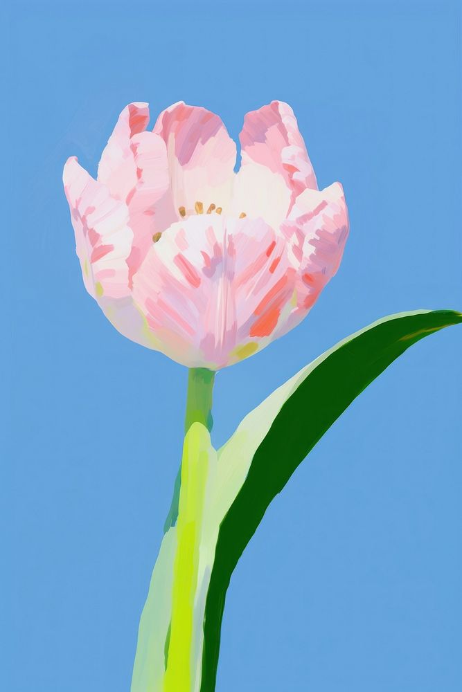Pink Tulip flower tulip blossom. AI generated Image by rawpixel.