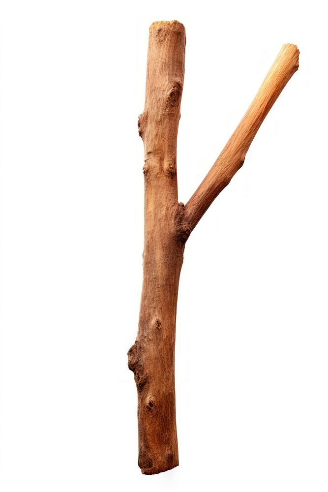 Diftwood stick white background driftwood branch. AI generated Image by rawpixel.