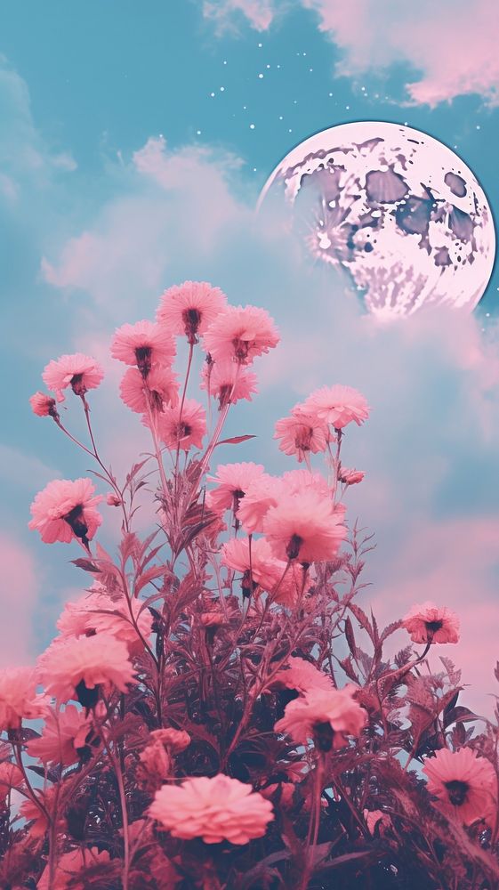 Moon and flowers sky astronomy outdoors. AI generated Image by rawpixel.