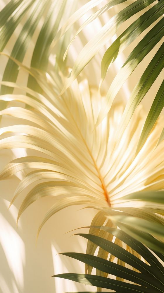 Palm leaves sunlight backgrounds outdoors. AI generated Image by rawpixel.