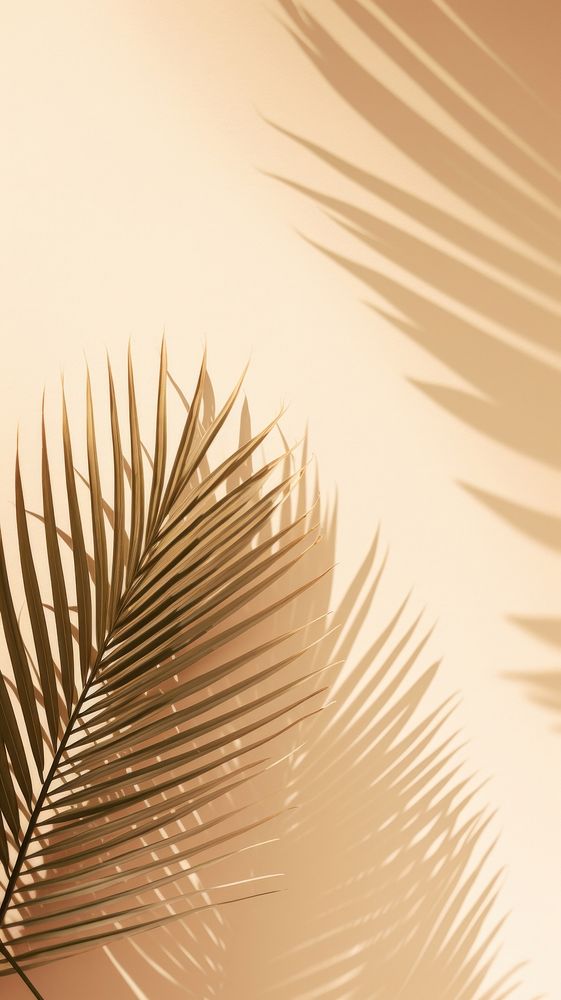 Palm leave silhouette sunlight outdoors. AI generated Image by rawpixel.