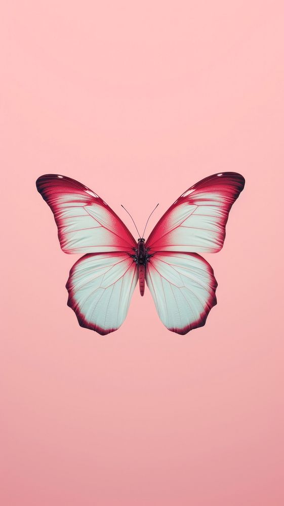 Butterfly animal insect petal. AI generated Image by rawpixel.