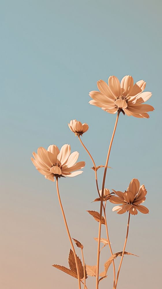 Flower and sky outdoors blossom nature. AI generated Image by rawpixel.