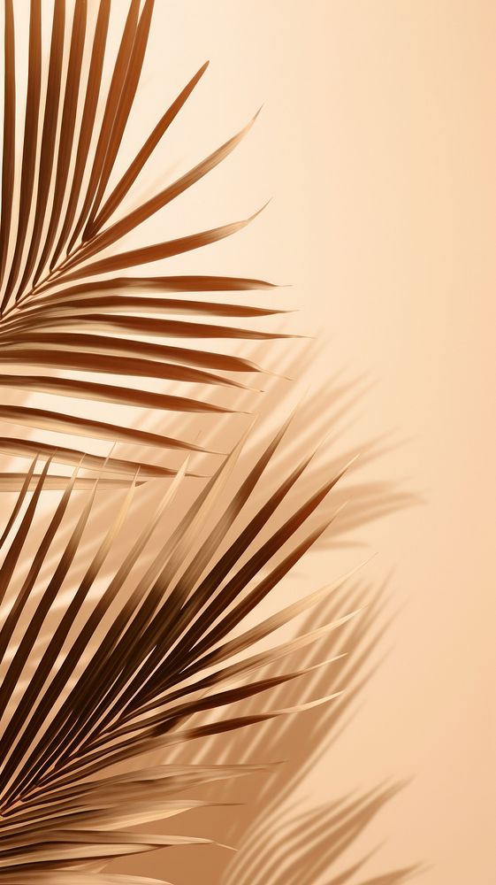 Palm leaves outdoors pattern nature. AI generated Image by rawpixel.