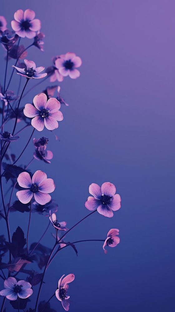 Flower and sky purple blossom petal. AI generated Image by rawpixel.