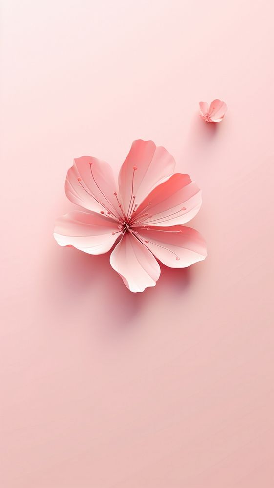 Sakura petal flower plant inflorescence. AI generated Image by rawpixel.
