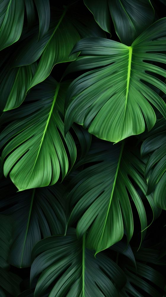 Tropical leaves backgrounds nature plant. AI generated Image by rawpixel.