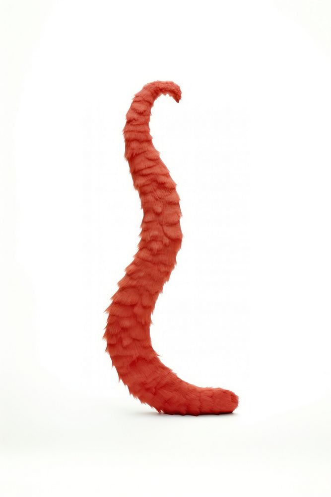 Devil tail red white background invertebrate. AI generated Image by rawpixel.