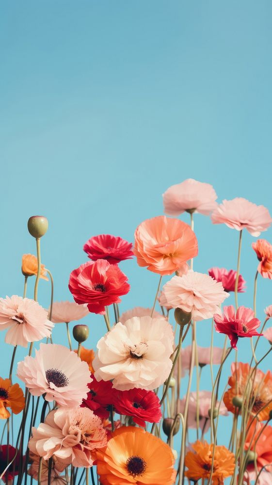 Surreal nature flower outdoors blossom. AI generated Image by rawpixel.