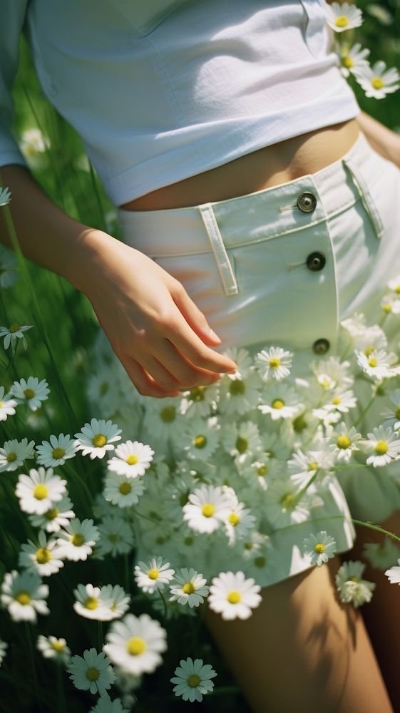 Spring daisies flower shorts plant. AI generated Image by rawpixel.