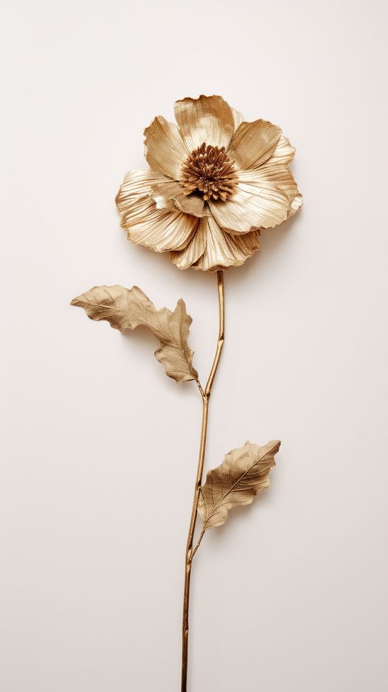 Dried flower and gold brooch plant petal. AI generated Image by rawpixel.