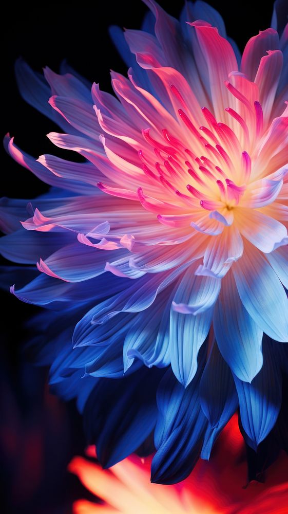 Neon flower dahlia petal plant. AI generated Image by rawpixel.