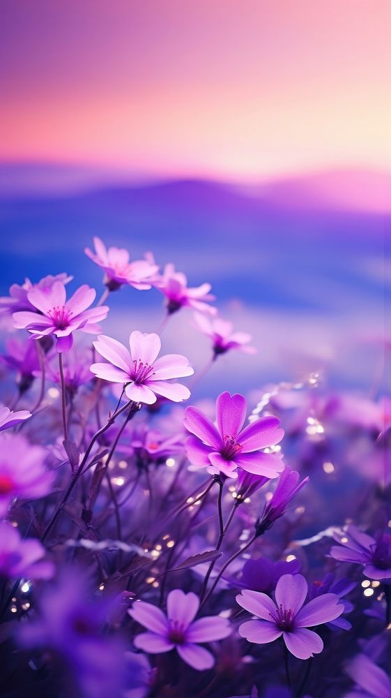 Spring purple flowers landscape outdoors blossom. 