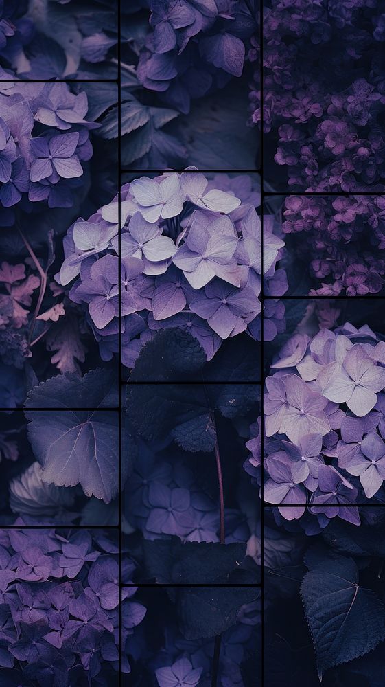 Purple hydrangea flowers plant art backgrounds. AI generated Image by rawpixel.