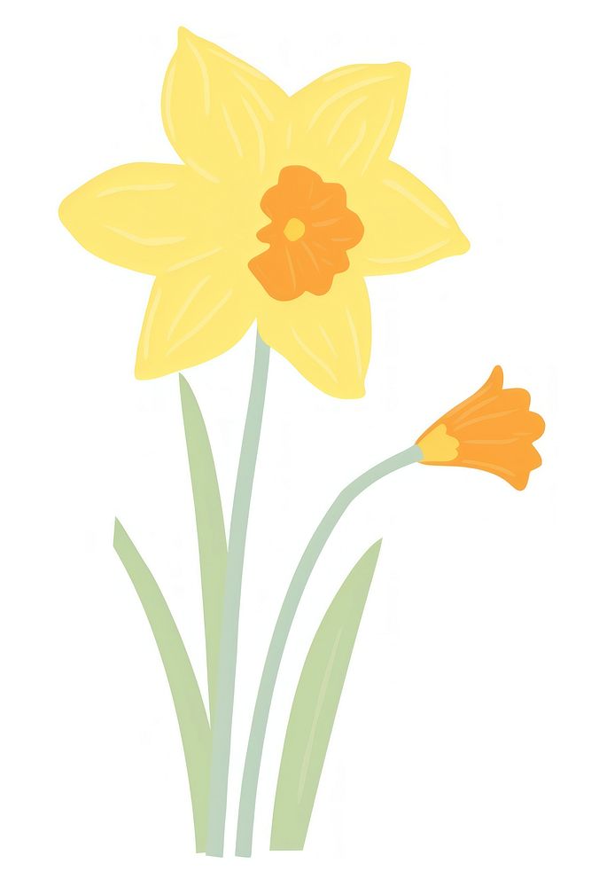 Daffodil outdoors flower nature. AI generated Image by rawpixel.