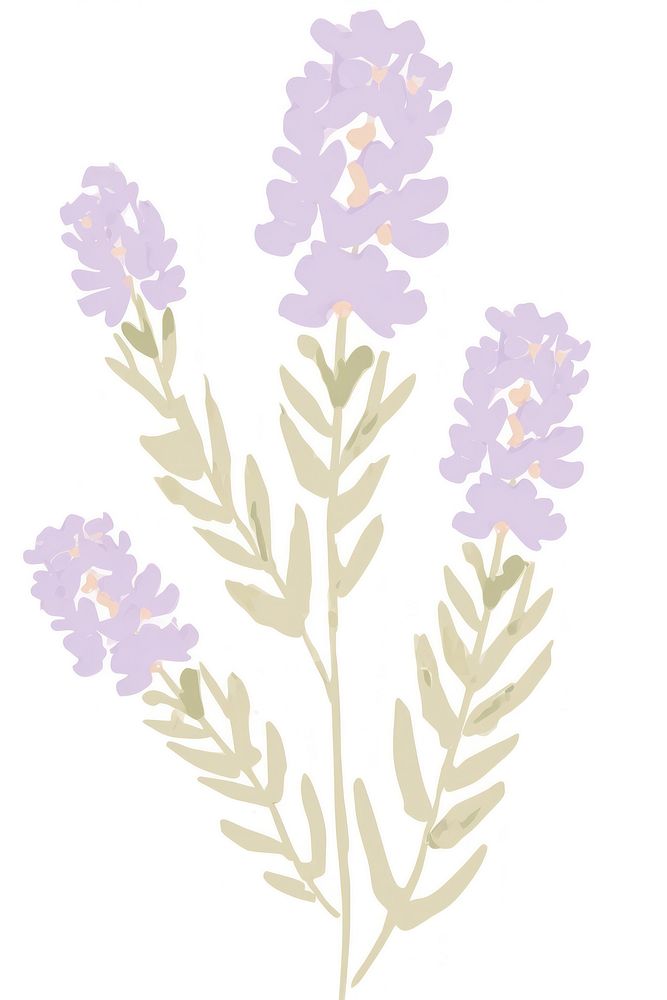 Lavender flower blossom pattern plant. AI generated Image by rawpixel.