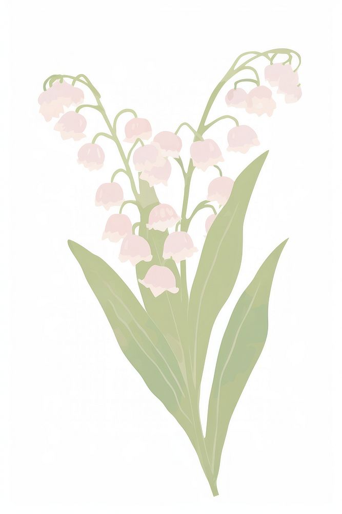 Lily of the valley flower plant petal leaf. AI generated Image by rawpixel.