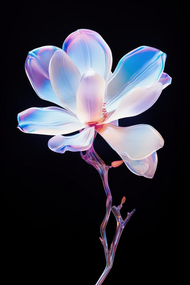 Magnolia flower petal plant. AI generated Image by rawpixel.