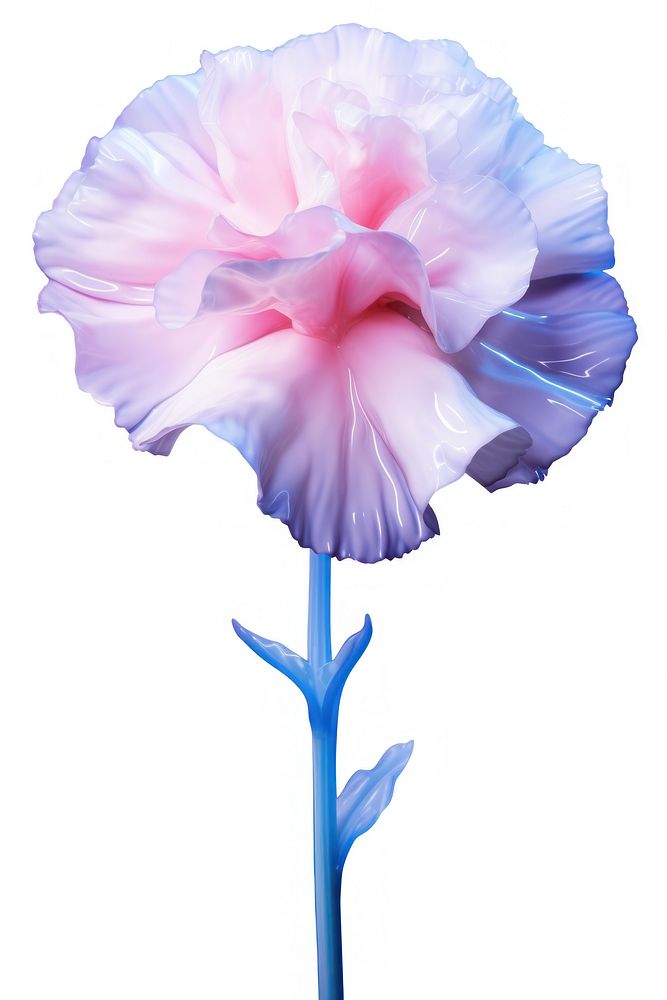 Carnation flower plant white. AI generated Image by rawpixel.