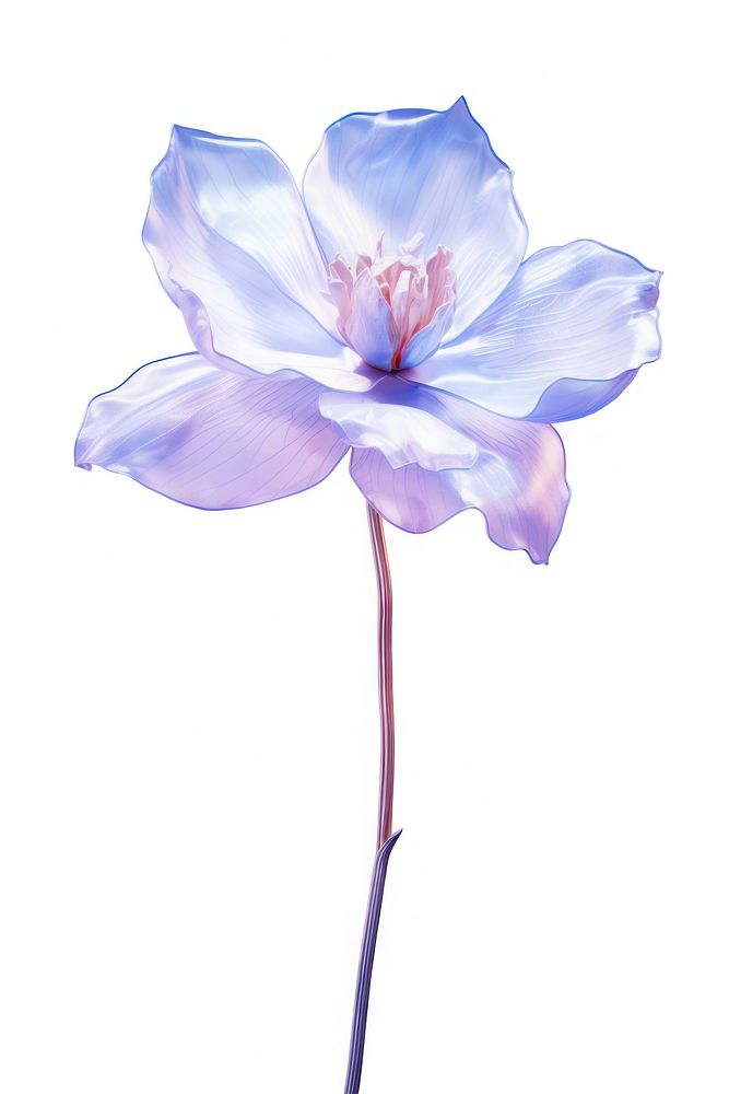 Lavender flower blossom petal. AI generated Image by rawpixel.