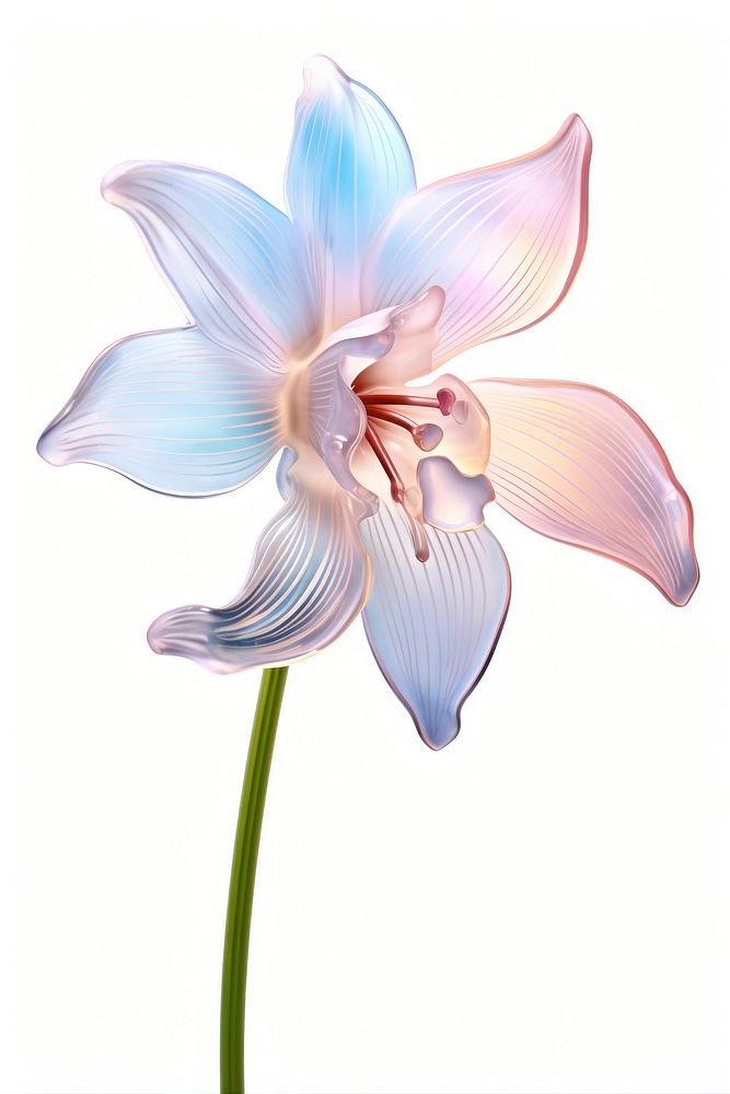 Snowdrop flower blossom orchid. AI generated Image by rawpixel.