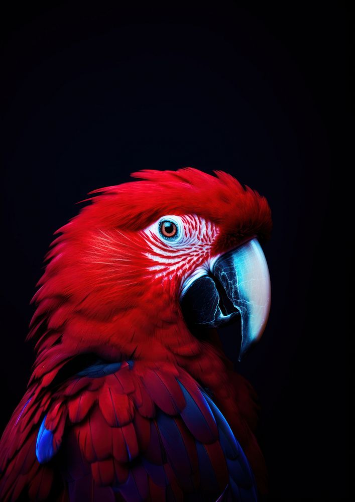 A colorful parrot portrait animal bird wildlife. AI generated Image by rawpixel.