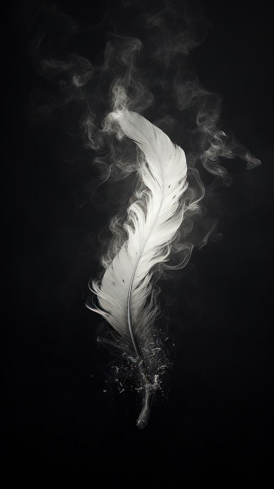 Fire burning black feather white smoke lightweight. AI generated Image by rawpixel.