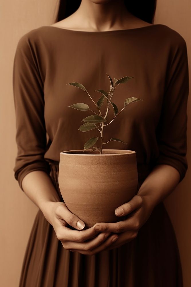Woman hand holding potted adult plant houseplant. AI generated Image by rawpixel.