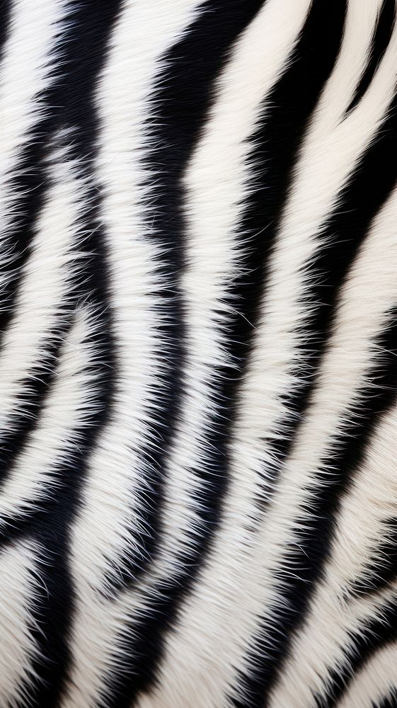 Zebra fur animal mammal. AI generated Image by rawpixel.