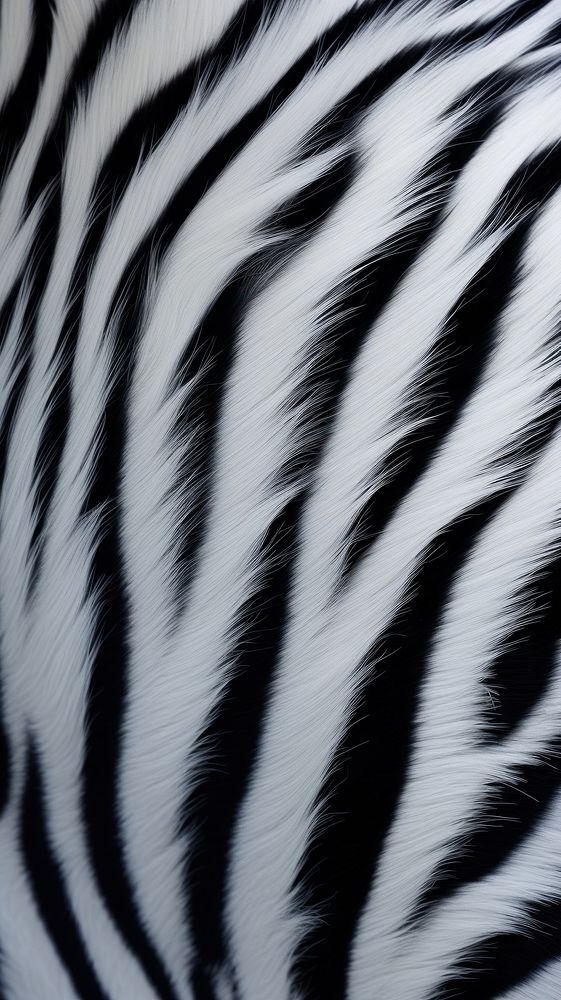 Zebra animal mammal fur. AI generated Image by rawpixel.