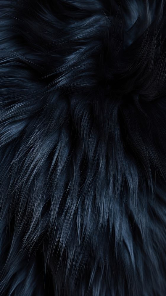 Black cat fur backgrounds softness abstract. AI generated Image by rawpixel.