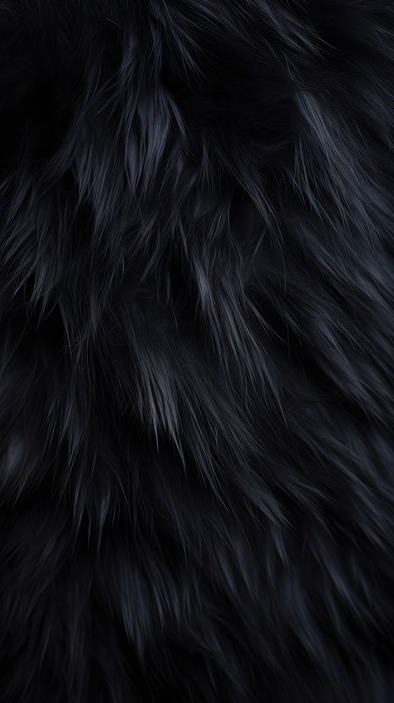 Black cat fur backgrounds monochrome abstract. AI generated Image by rawpixel.