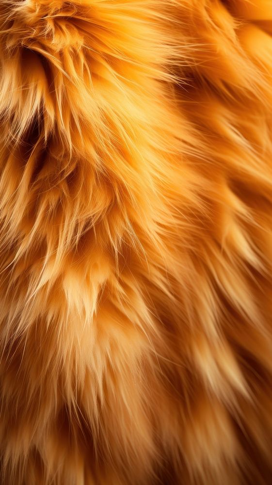 Cat fur texture mammal backgrounds. AI generated Image by rawpixel.