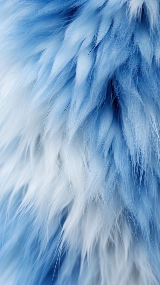 Cat skin white blue fur. AI generated Image by rawpixel.