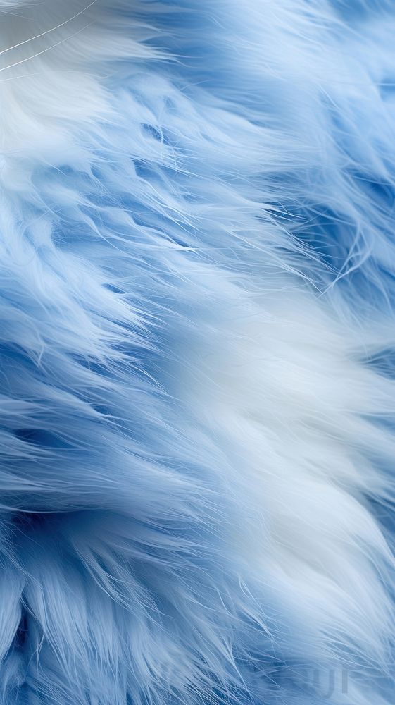 Cat skin white blue backgrounds. AI generated Image by rawpixel.