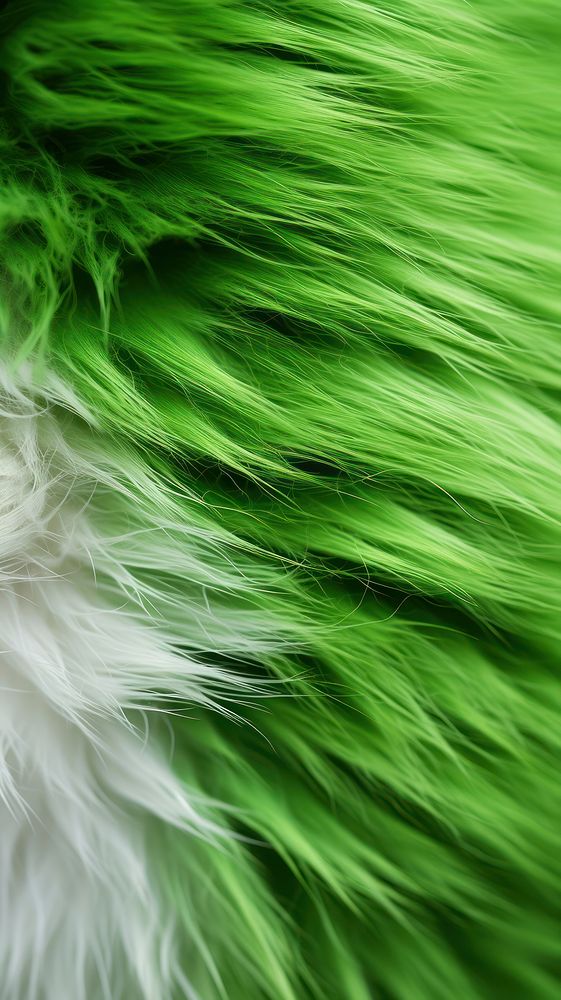 Cat skin green fur backgrounds. AI generated Image by rawpixel.