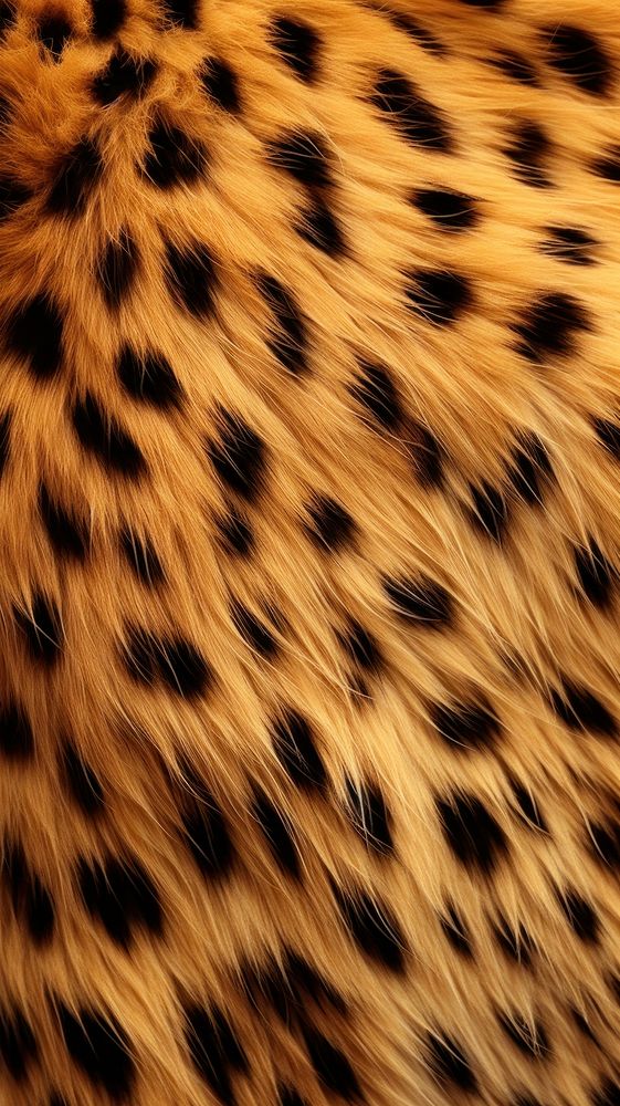 Cheetah fur wildlife animal backgrounds. AI generated Image by rawpixel.