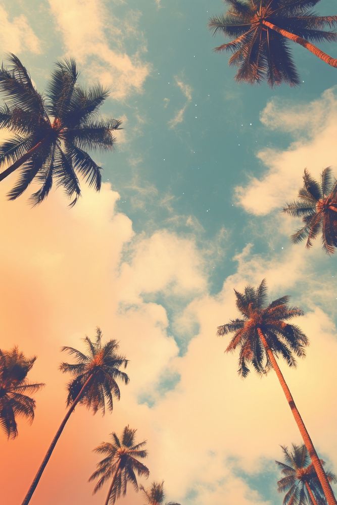 Palm trees nature cloud outdoors. AI generated Image by rawpixel.