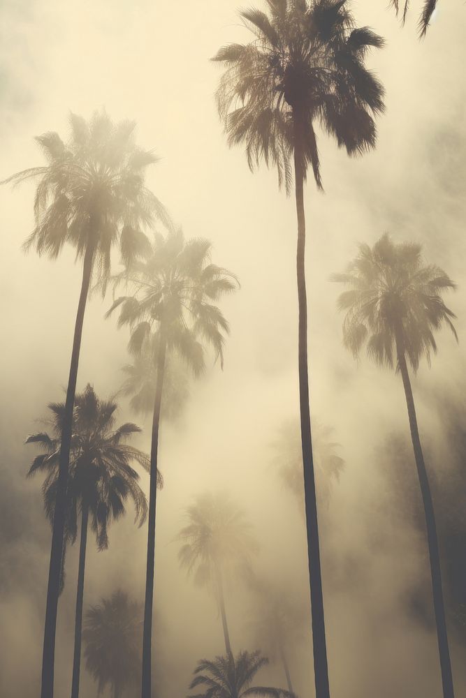 Palm trees nature outdoors forest. AI generated Image by rawpixel.