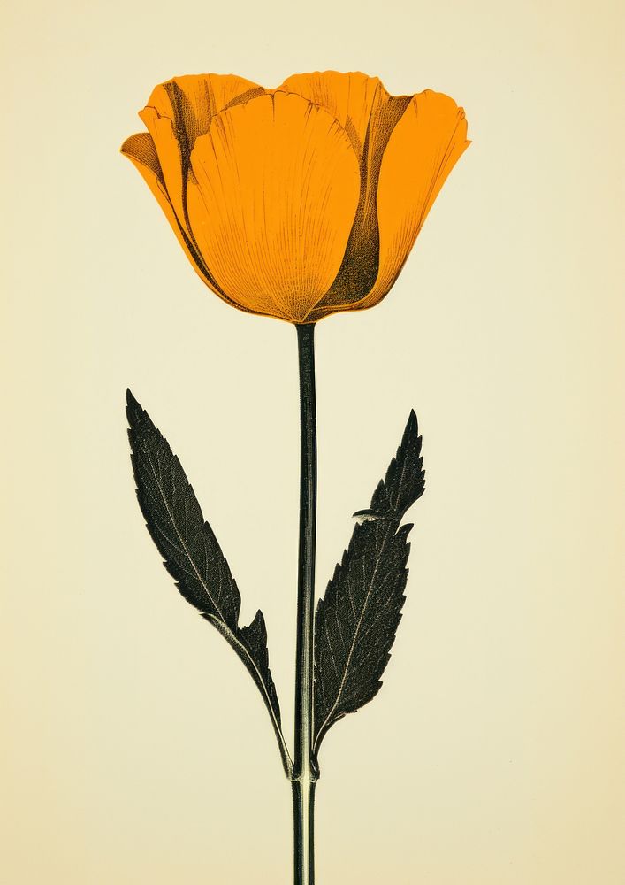 Silkscreen of a california poppy flower petal plant leaf. AI generated Image by rawpixel.