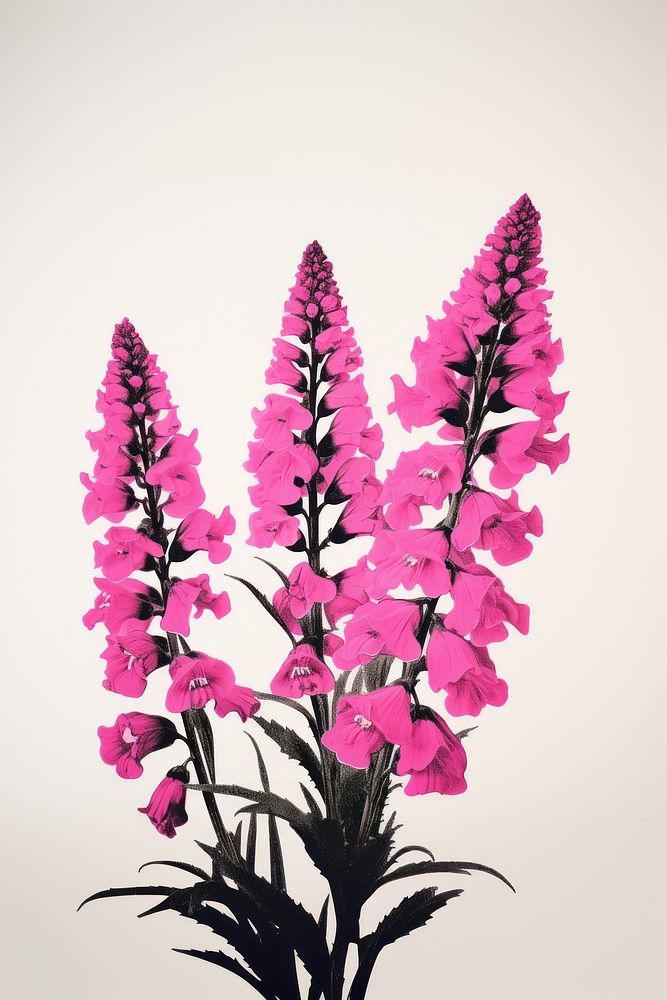 Foxgloves flower blossom plant petal. AI generated Image by rawpixel.