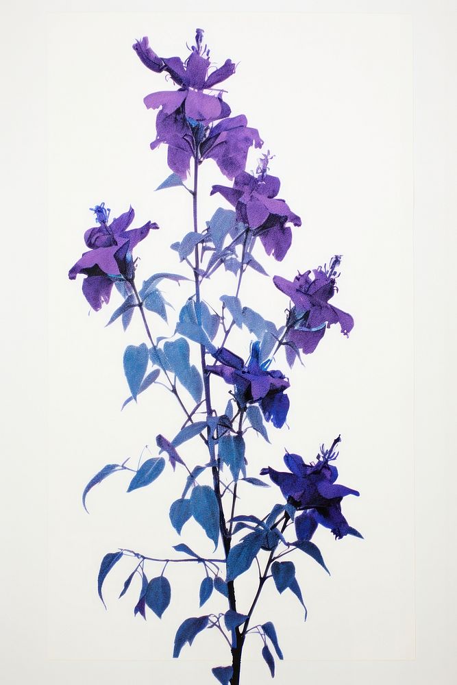 Larkspur purple flower plant. AI generated Image by rawpixel.