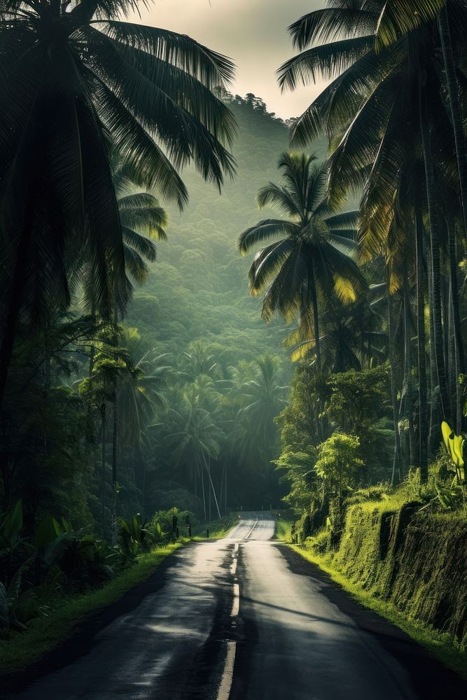 Road over palm trees land outdoors nature. AI generated Image by rawpixel.
