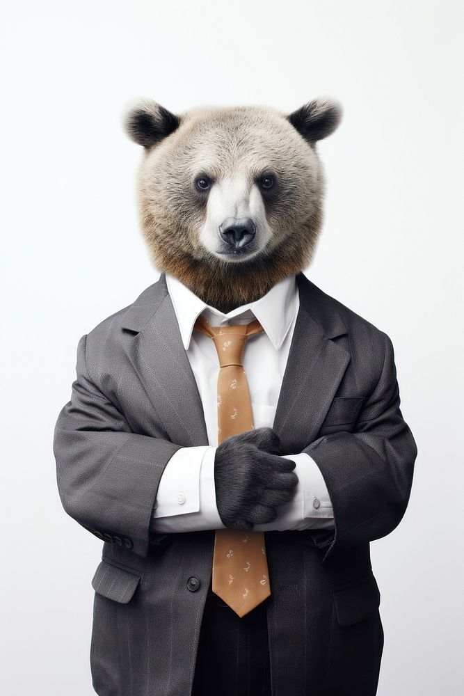 A baby bear in a business suit displaying an expression of extreme exasperation and irritation wildlife animal mammal. AI…