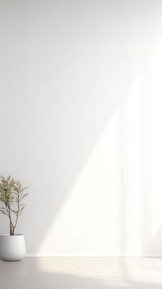 Beautiful daylight white wallpaper architecture plant vase. AI generated Image by rawpixel.