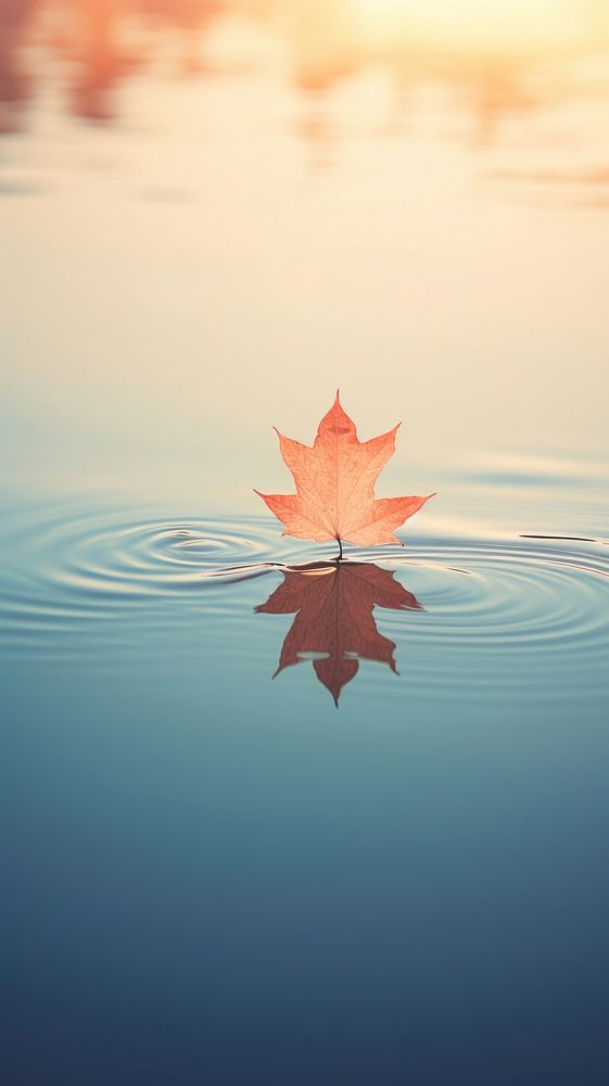 Beautiful leaf reflect sunlight wallpaper outdoors nature plant. AI generated Image by rawpixel.