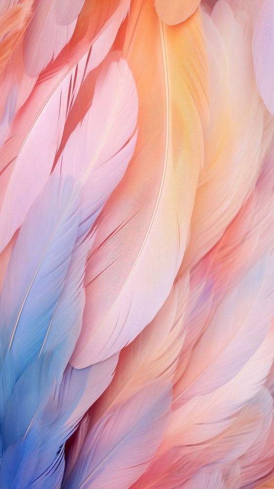 Feathers backgrounds bird lightweight. AI generated Image by rawpixel.