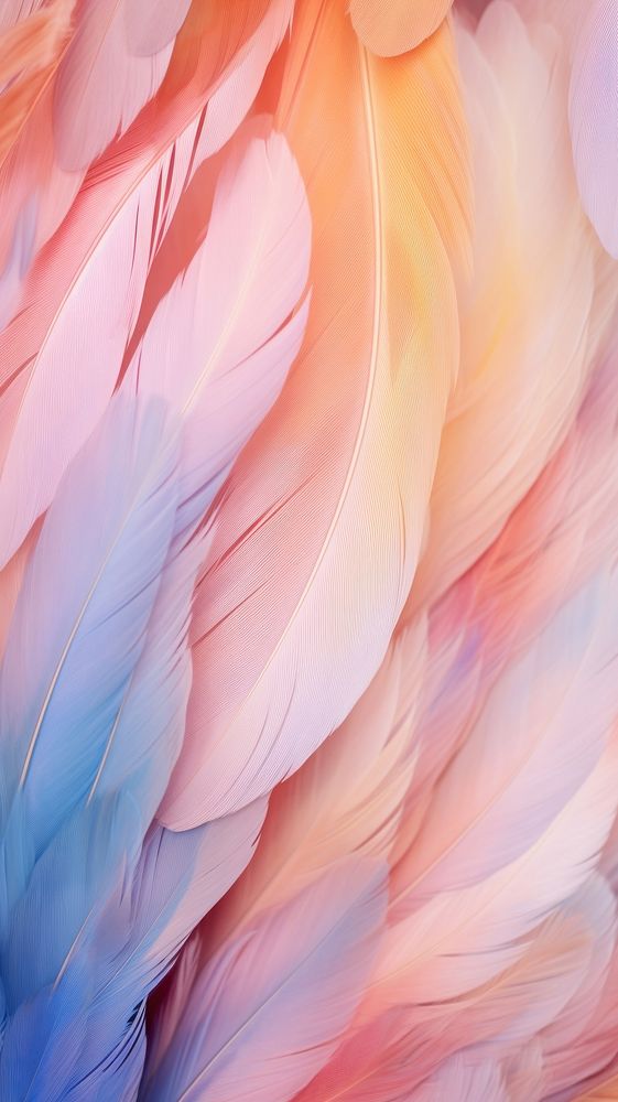 Feathers backgrounds bird lightweight. 