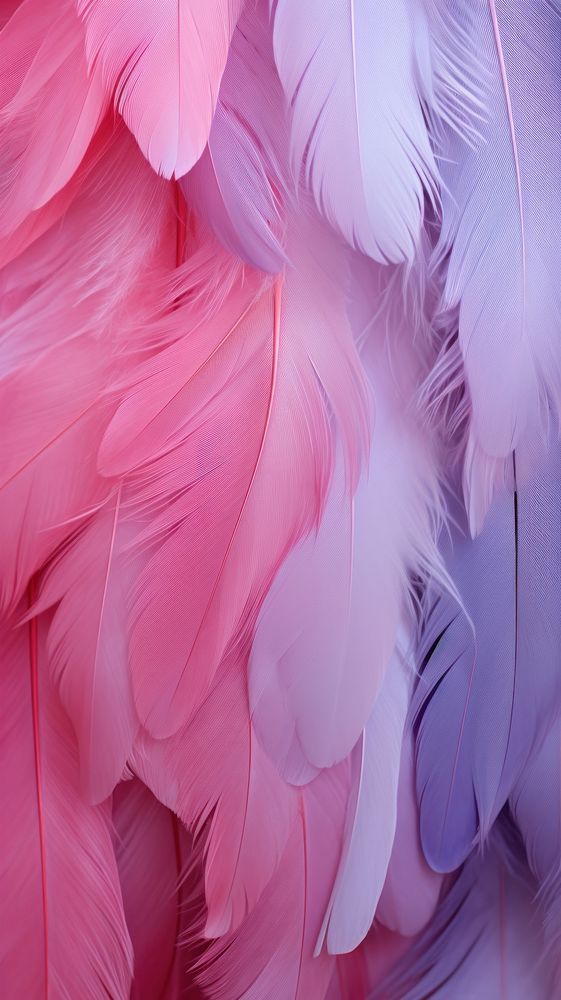 Feathers backgrounds bird lightweight. AI generated Image by rawpixel.