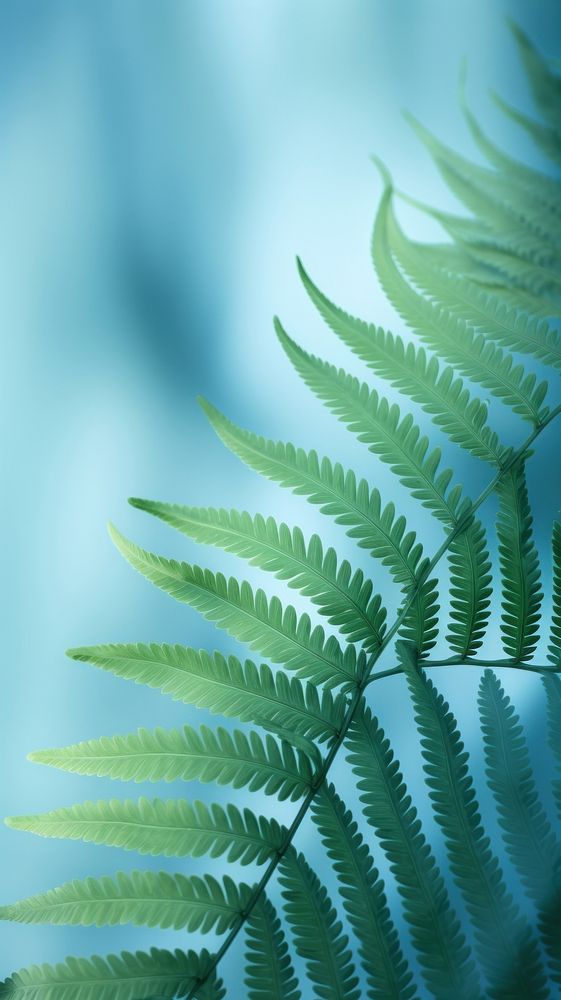 Fern leaves backgrounds plant leaf. AI generated Image by rawpixel.